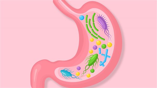 Could a probiotic help strengthen the gut in ACLD?
