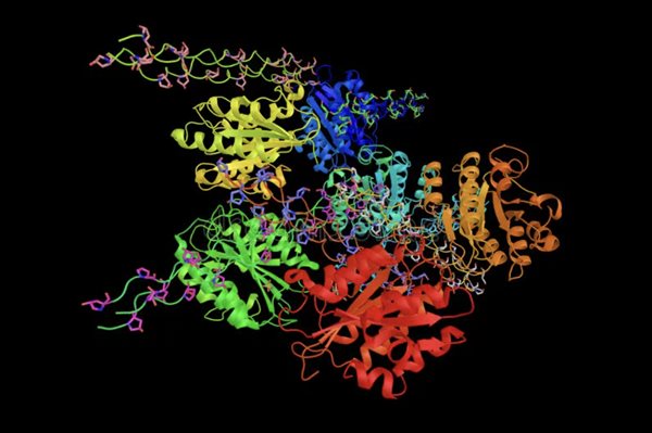 New study sheds light on hidden clotting changes in advanced liver disease